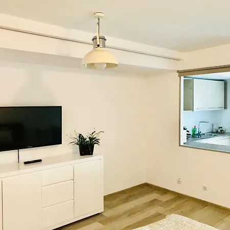 Iulius Mall City View Apartman *